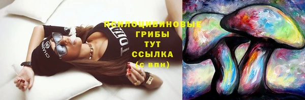 спиды Богородицк