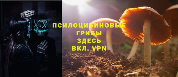 спиды Богородицк