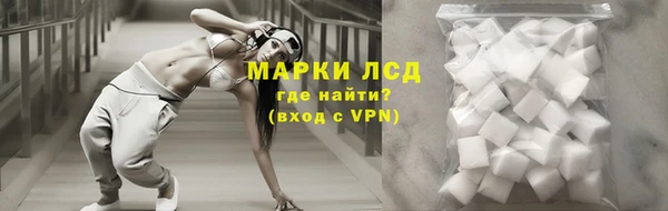 спиды Богородицк