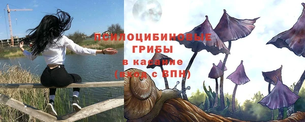 соль ск Богородск